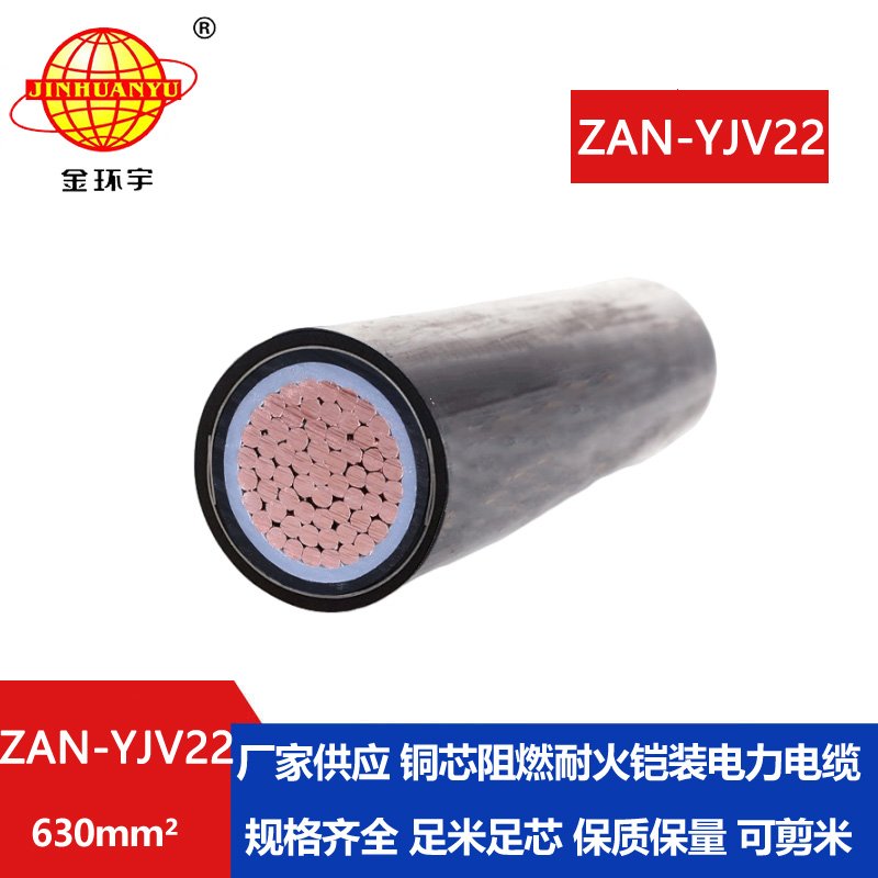 金環(huán)宇電線電纜 單芯鋼帶鎧裝電纜ZAN-YJV22-630 深