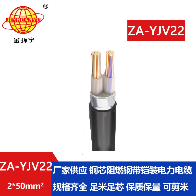 金環(huán)宇電纜 阻燃鎧裝電纜ZA-YJV22--2X50平方 室外電